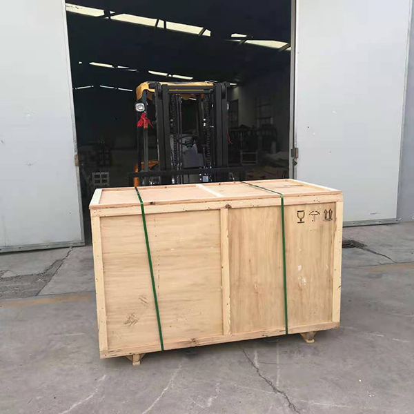 600型號雙室真空包裝機